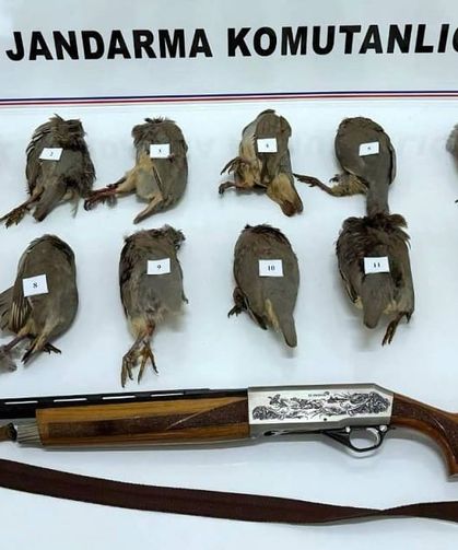 Van’da kaçak avcılığa 81 bin TL ceza!