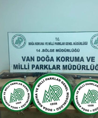 Van'da kaçak avcıya ağır fatura: 17 keklik için 87 bin TL ceza