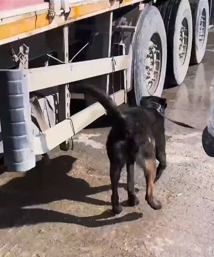 Van’da nefes kesen operasyon