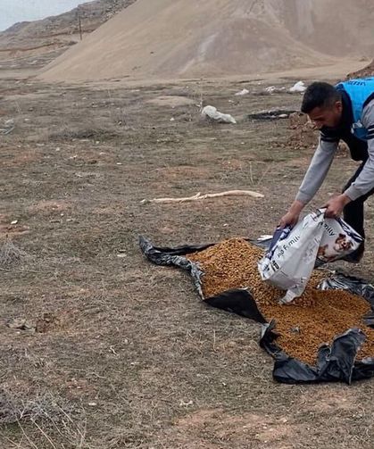 İpekyolu’nda sokak hayvanlarına mama desteği