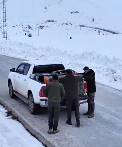 Van’da yasa dışı avcılardan kurtarılan kınalı keklikler doğaya salındı