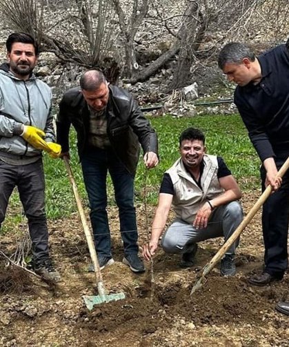 Çatak’ta binlerce fidan toprakla buluştu