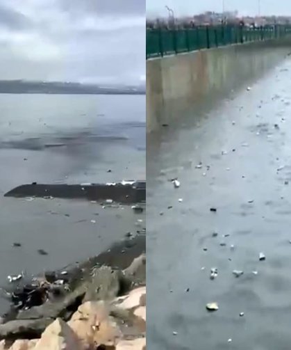 Van Gölü tehdit altında