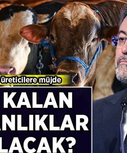 Van'da kurbanlıklarını satamayan çiftçilere müjde! ESK alacak...