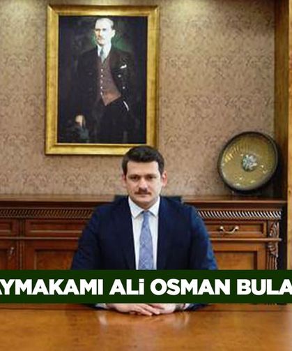 Gevaş Kaymakamı Ali Osman Bulat kimdir?