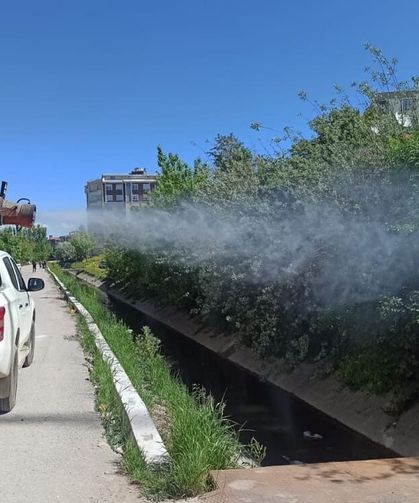 İpekyolu’nda ilaçlama çalışmaları sürüyor