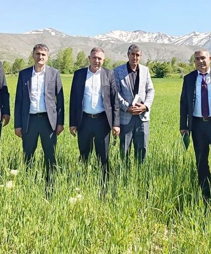 Van’da hububat seferberliği meyvelerini veriyor