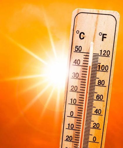 Meteoroloji Bitlis’in 3 ilçesine Uyarı! 38 dereceye ulaşacak!