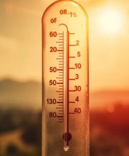 Meteoroloji'den Muş’a sıcaklık uyarısı!