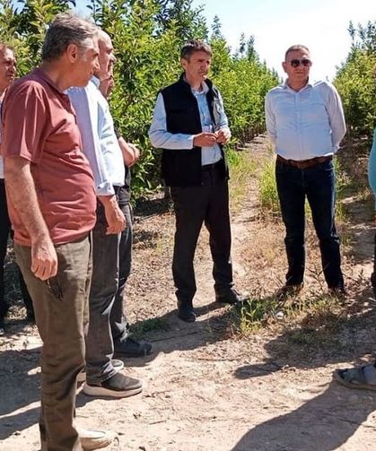 Van'da kırmızı et üretim tesislerinde inceleme