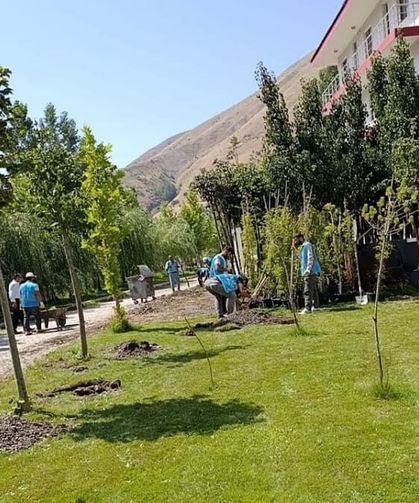 Bahçesaray’da ıhlamur ağaçları toprakla buluşuyor