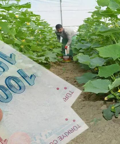 Eski hükümlülere 2 ayda 68,7 milyon liralık hibe desteği