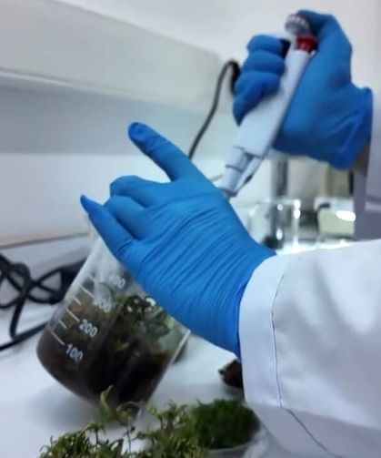 Gıdalarda aroma dönemi değişiyor: Yeni kurallar resmen yürürlükte