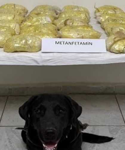 Hakkari’de TIR’dan 21 kilo 700 gram metamfetamin çıktı