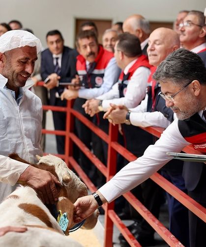 Hayvancılıkta Yeni Destek: Aşı ve Kimliklendirme Ücretsiz Olacak