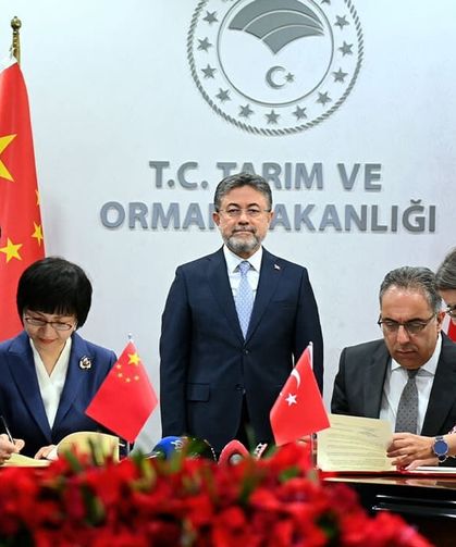 Türkiye’den Çin’e defne yaprağı ihracatında yeni dönem
