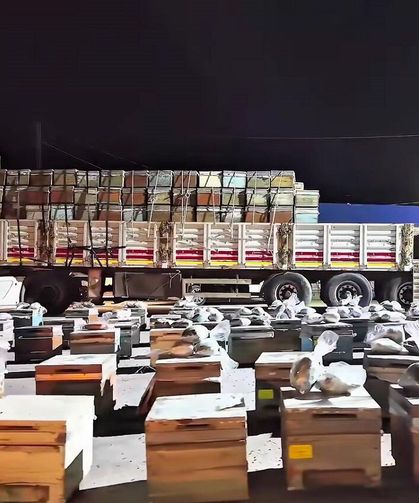 Hakkari'de dev narkotik operasyonu: Arı Kovanlarının Arasında ele geçirildi
