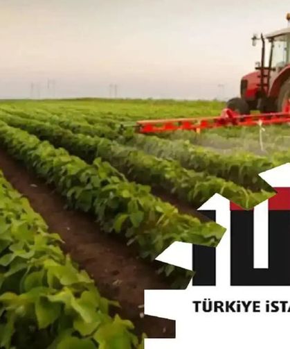 Tarım ürünlerinde yıllık fiyat artışı yüzde 12,93’e ulaştı