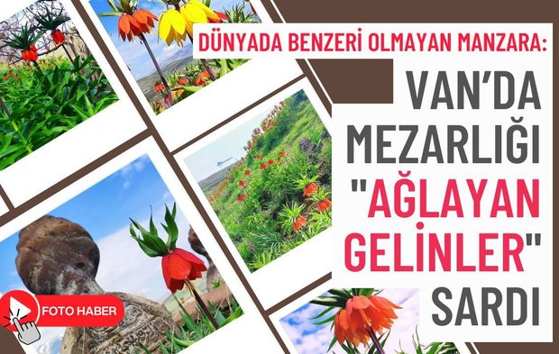 Dünyada benzeri olmayan manzara: Van’da Mezarlığı "Ağlayan Gelinler" sardı