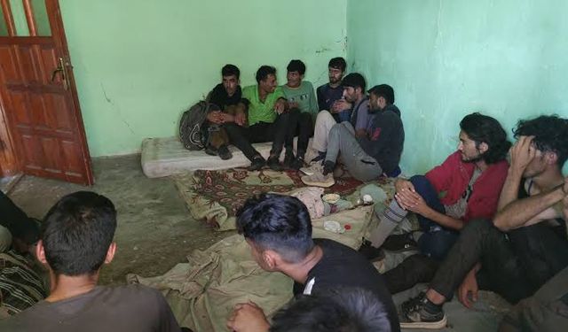 Van'ın İpekyolu ilçesinde düzensiz göçmenler ve şüpheliler yakalandı