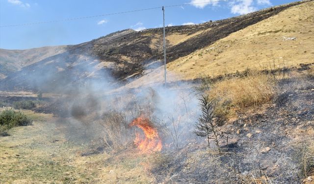Bitlis'te çıkan yangınında 12 hektar alan zarar gördü