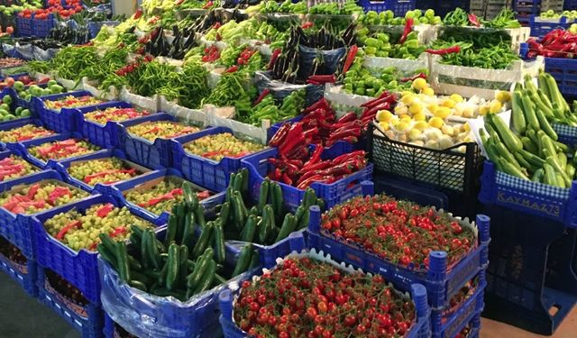 Van Sebze Hali’nde fiyatlar ne kadar!– Sebze ve Meyvede Güncel Durum! 11 Eylül 2025