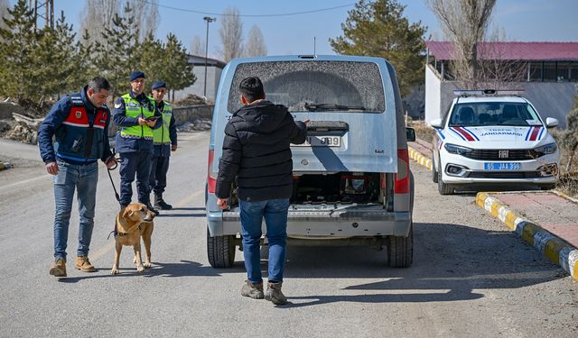 Van'da uyuşturucuyla mücadelede gizli kahramanı dedektör köpekler