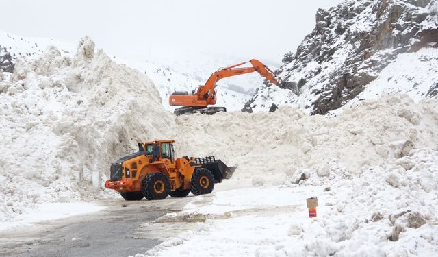 Van'da 10 noktaya çığ düştü!