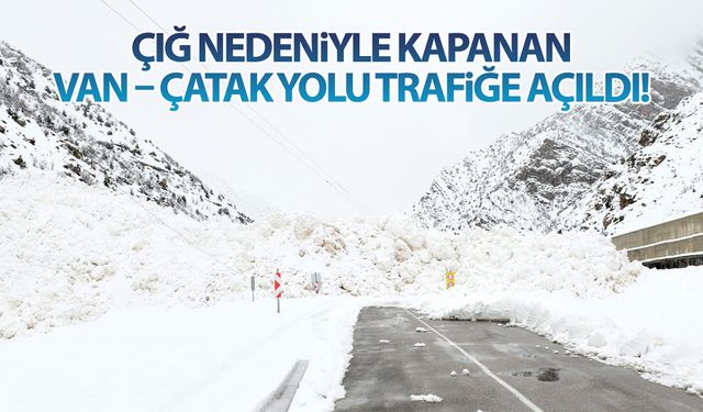 Çığ nedeniyle kapanan Van – Çatak yolu trafiğe açıldı!