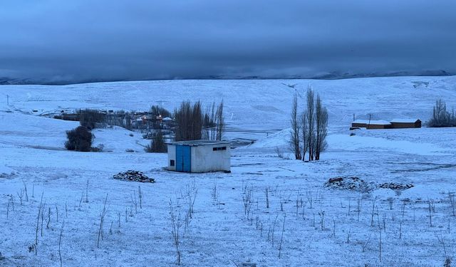 Başkaleliler bayram sabahına karla uyandı