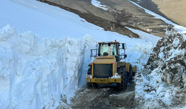 Van'da 5 aydır kapalı olan yol ulaşıma açıldı