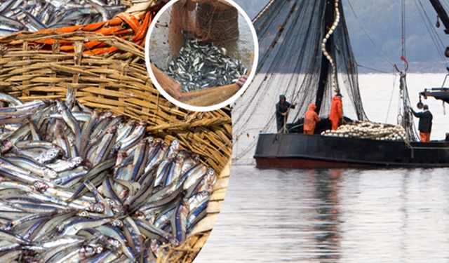 Yasa dışı balık avcılarına yaklaşık 13 milyon lira ceza kesildi
