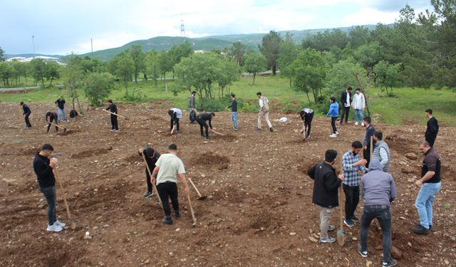 Üniversite öğrencileri "Filistin" için hatıra ormanı oluşturdu