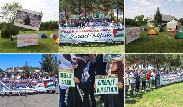 Üniversitelerde Filistin'e destek eylemleri sürüyor