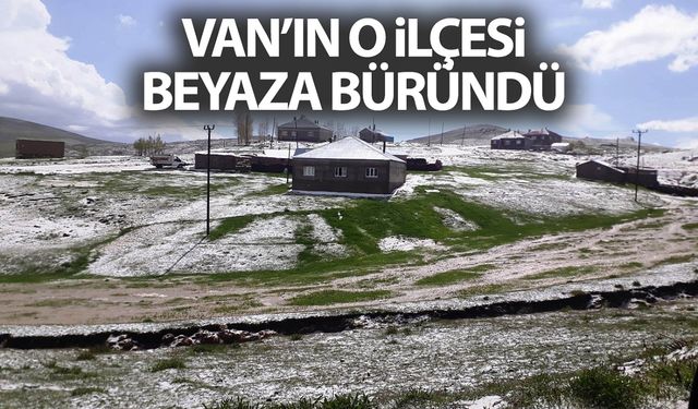 Van'ın o ilçesi beyaza büründü