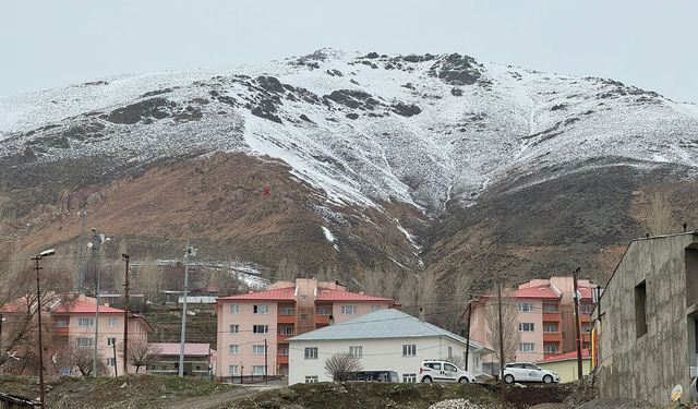 Van'da mayıs ayında kar yağdı