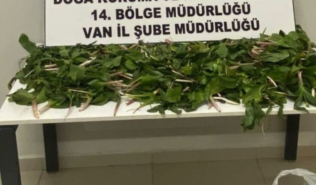 Van'da İran uyruklu 6 kişi yakalandı, 2 milyon lira ceza verildi