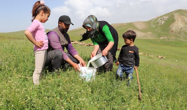 Van'da aldığı destekle sürü sahibi oldu: Talebe yetişemiyor