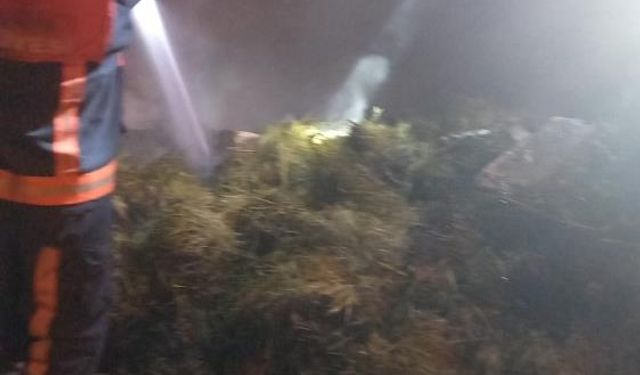 Yüksekova'da 30 bağ ot yandı