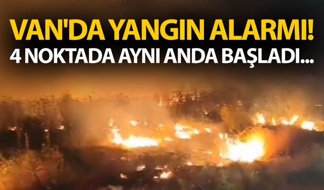 Van'da yangın alarmı! 4 noktada aynı anda başladı...