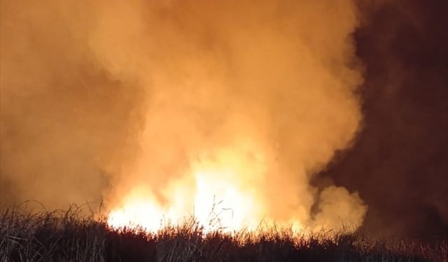 Yüksekova Nehil Sazlığı'nda Korkutan Yangın