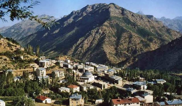 Hakkari'de ceviz ağacından düşen kişi öldü