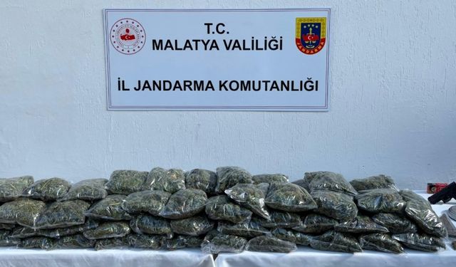 Malatya'da uyuşturucu operasyonunda 1 şüpheli yakalandı