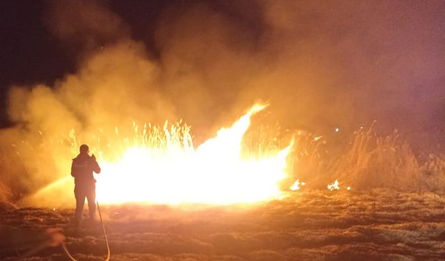 Nehil Sazlığı yanıyor: Yüksekova'da şaibeli yangın tepkisi