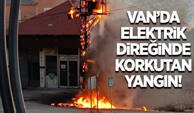 Van’da elektrik direğinde korkutan yangın!