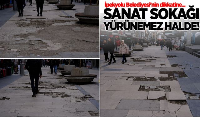İpekyolu Belediyesi'nin dikkatine! Sanat Sokağı yürünemez halde…
