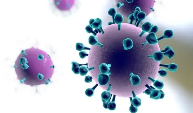 influenza virüsüne dikkat!