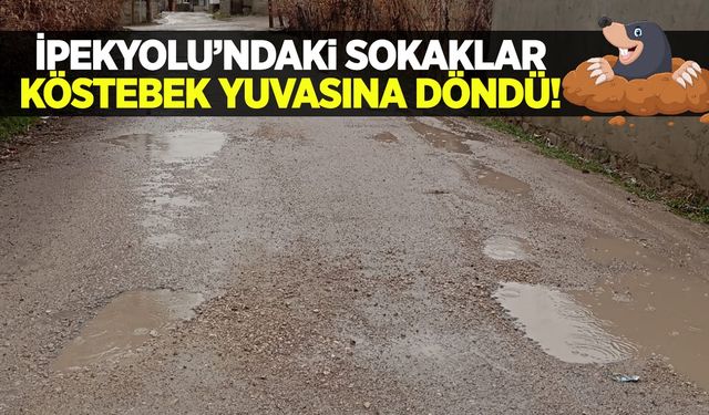 İpekyolu’ndaki sokaklar köstebek yuvasına döndü!