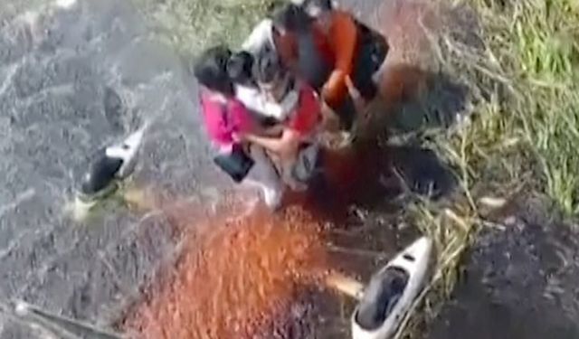 Bataklığa düşen uçağın yolcuları kurtarılmayı bekledi