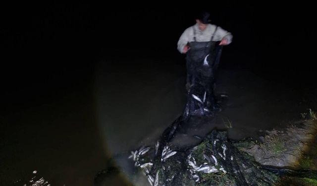 Van’da 1 ton inci kefali ele geçirildi!